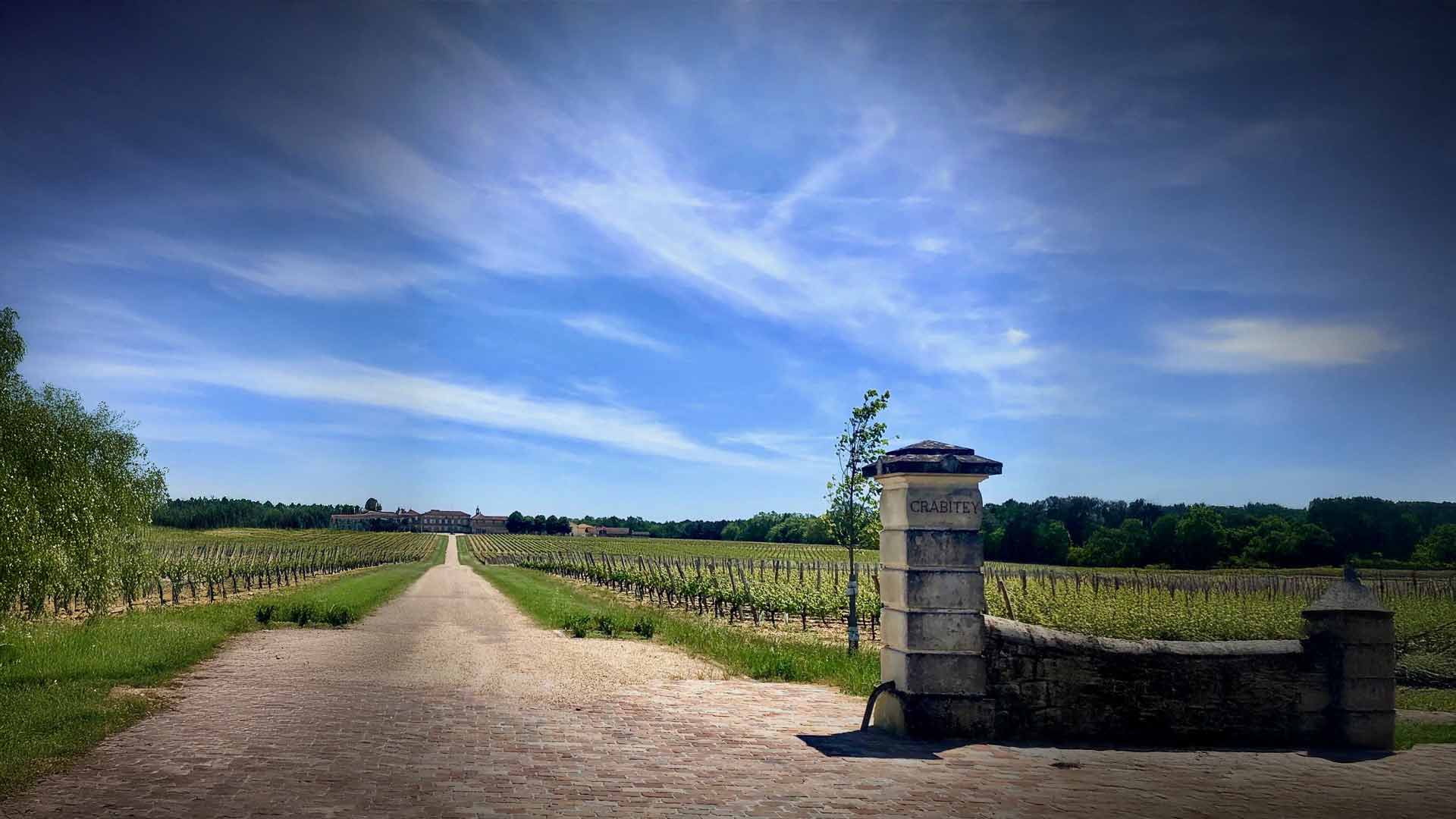 Château Crabitey Image