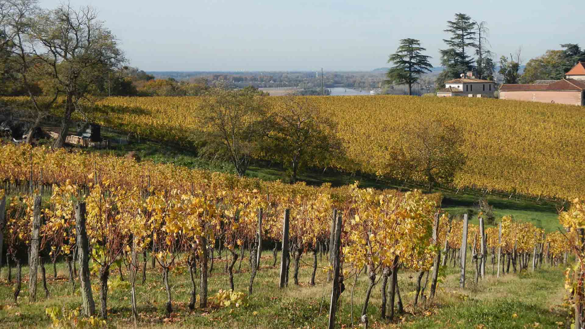 Château La Nère
