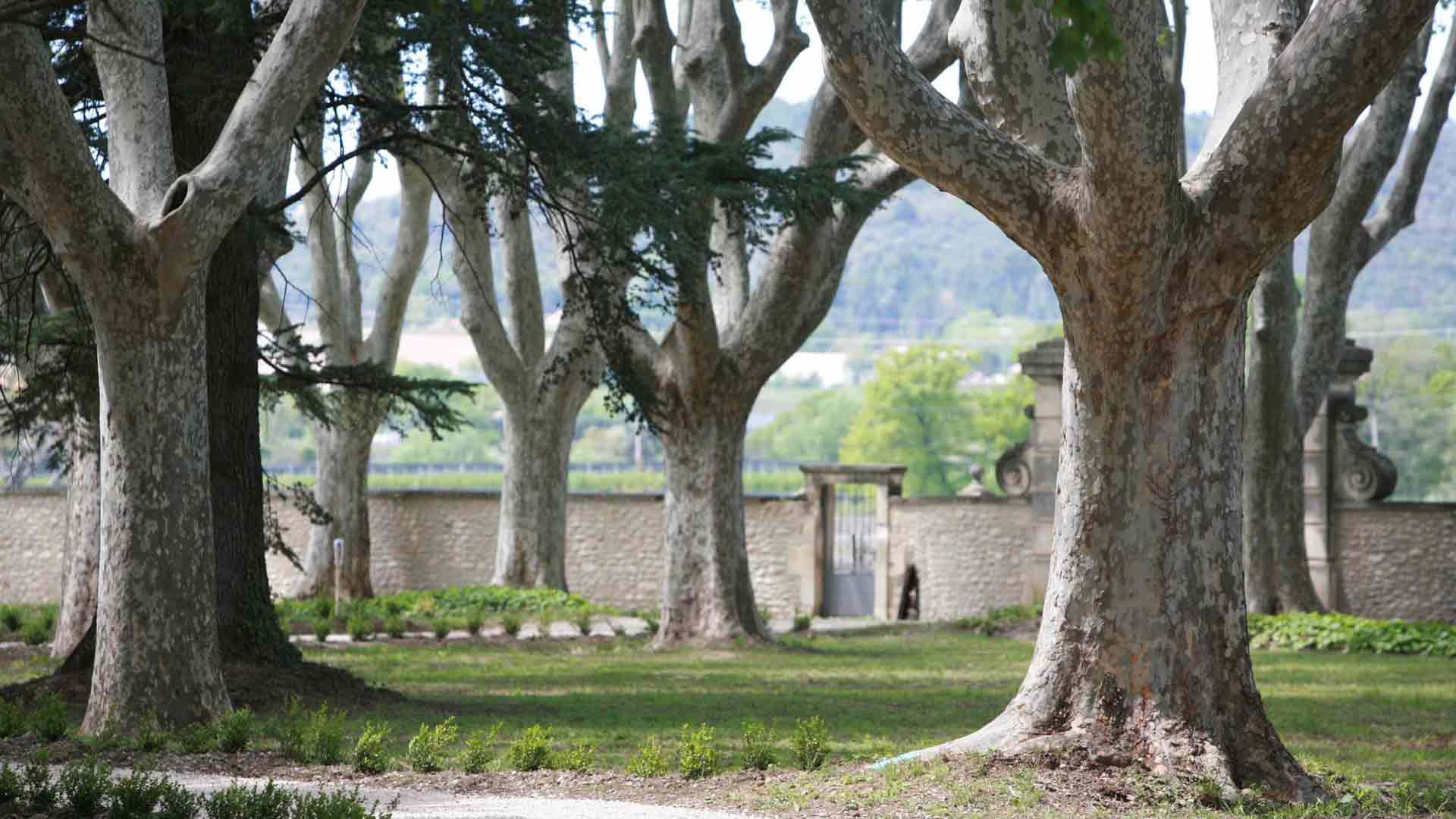 Château Saint-Jean