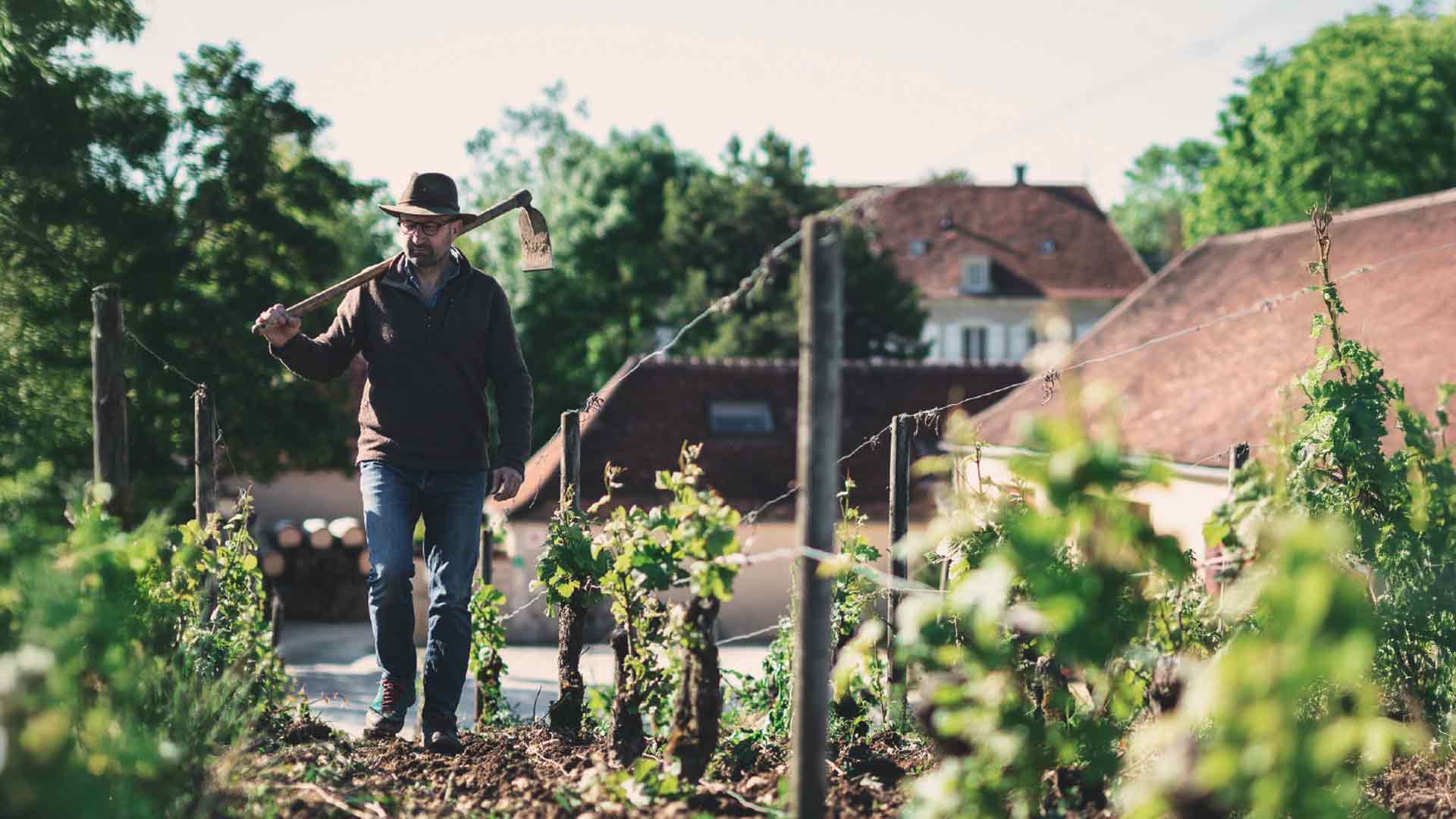 Domaine Dominique Gruhier