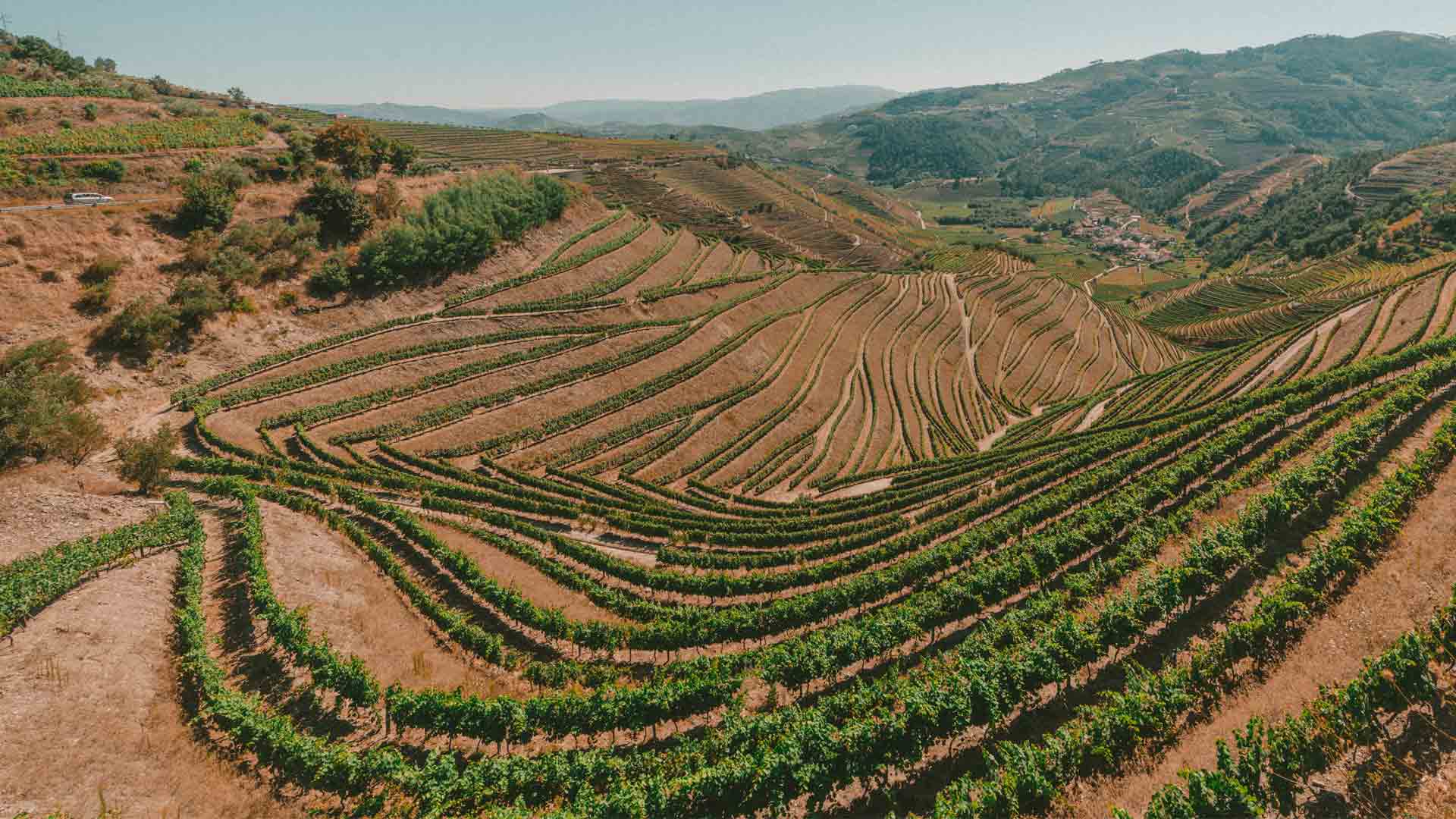 Domaine Lucien Aviet