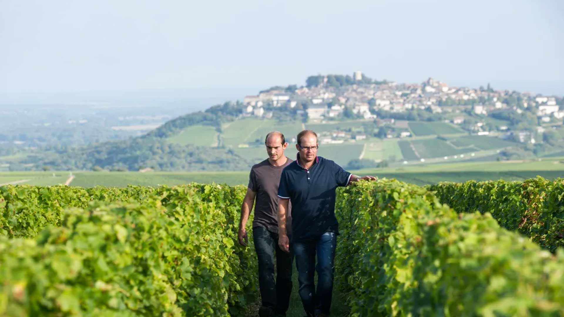 Domaine Matthias et Emile Roblin