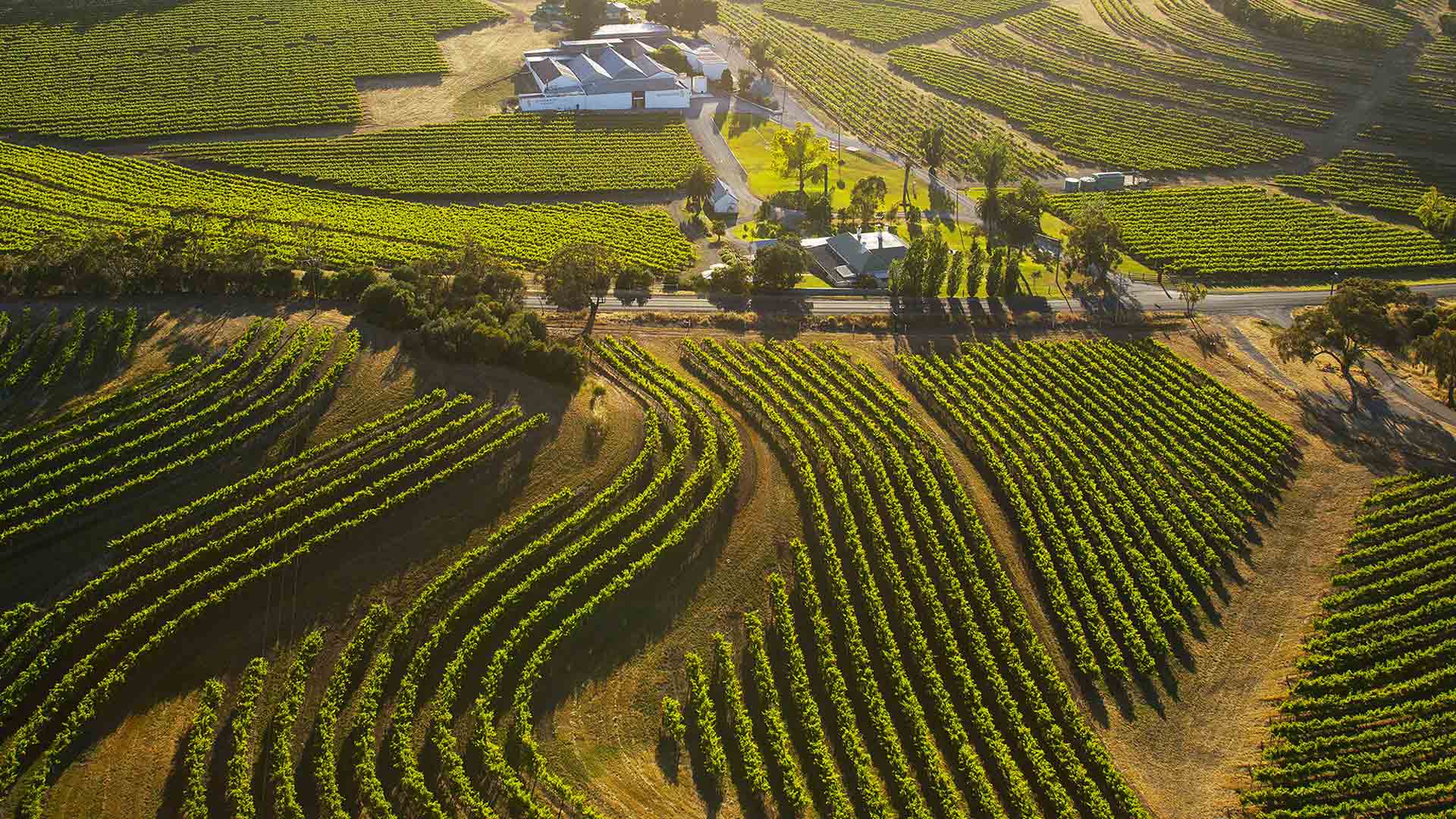 Domaine Penfolds Image
