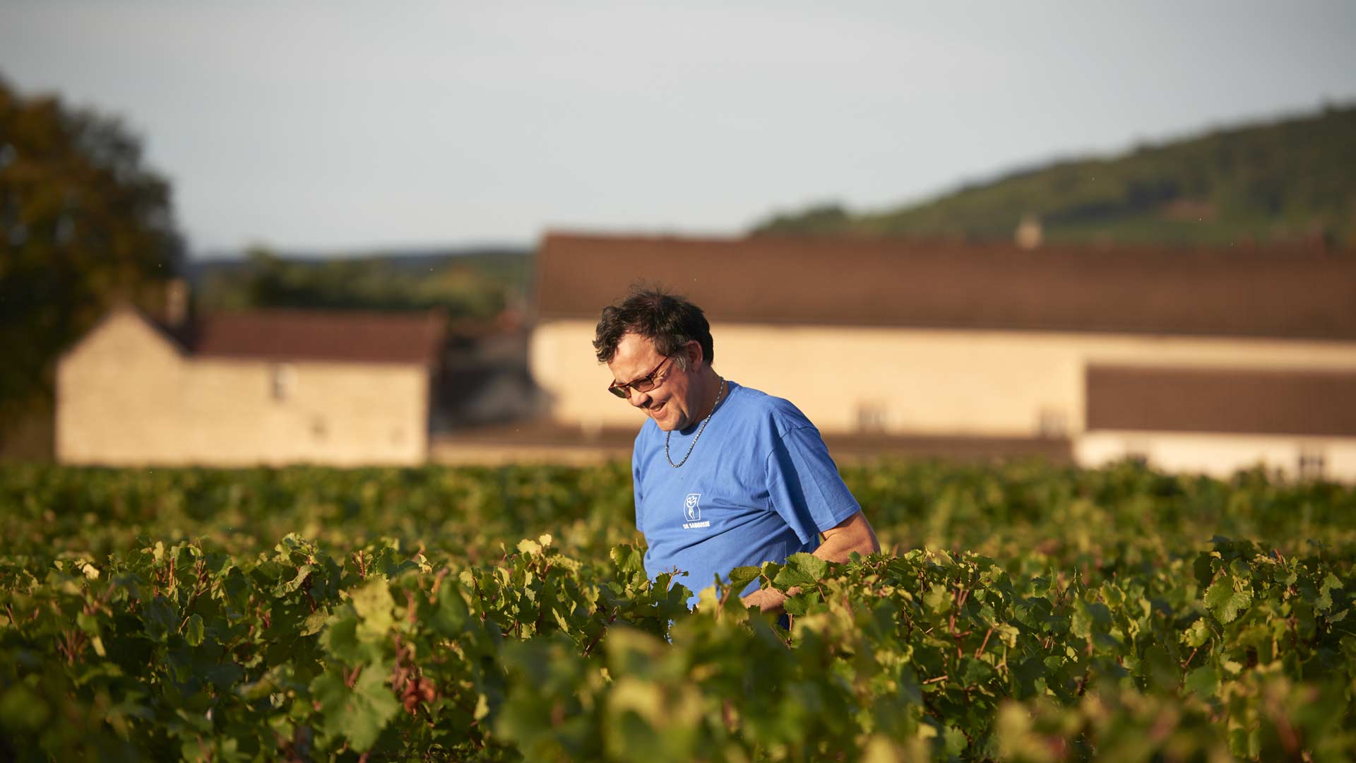 Domaine Rossignol Février