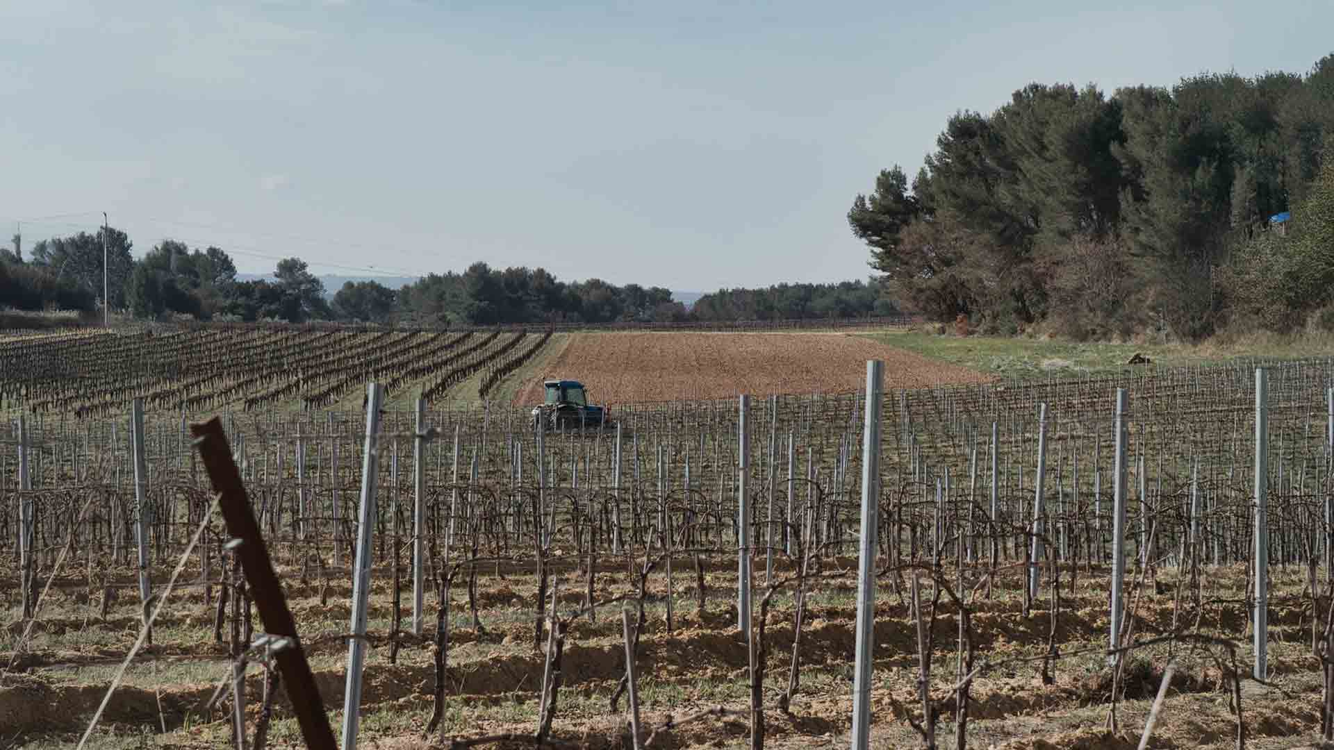 Domaine Val de Caire