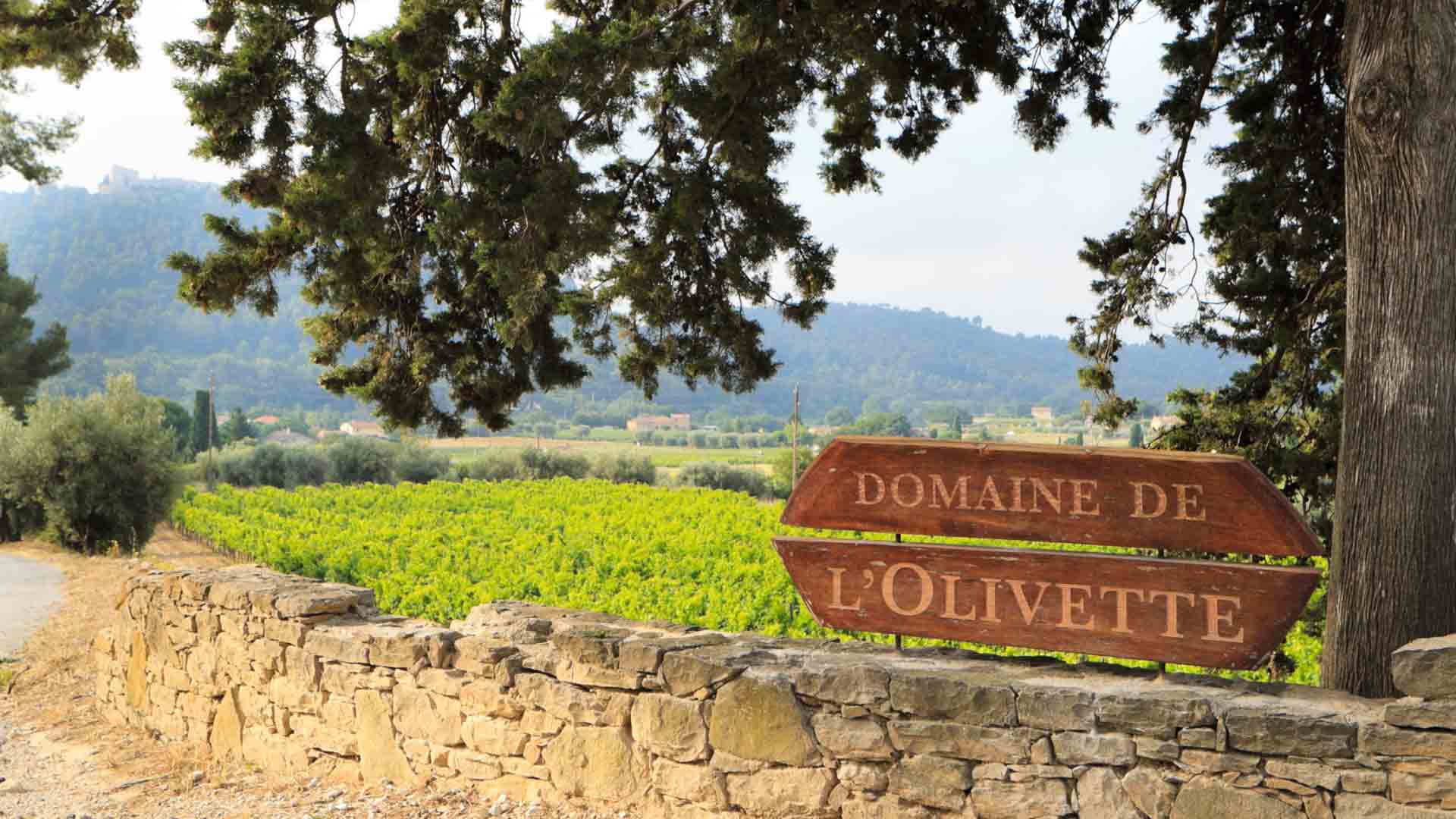 Domaine de l'Olivette Image