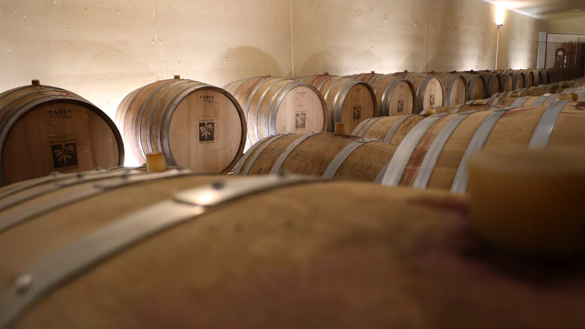 Domaine des 7 chemins Image