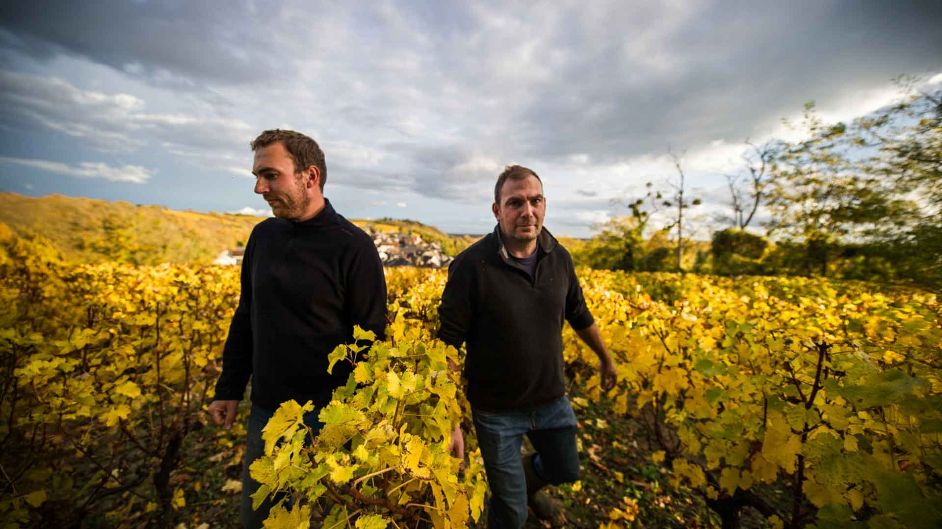 Domaine des Rabichattes