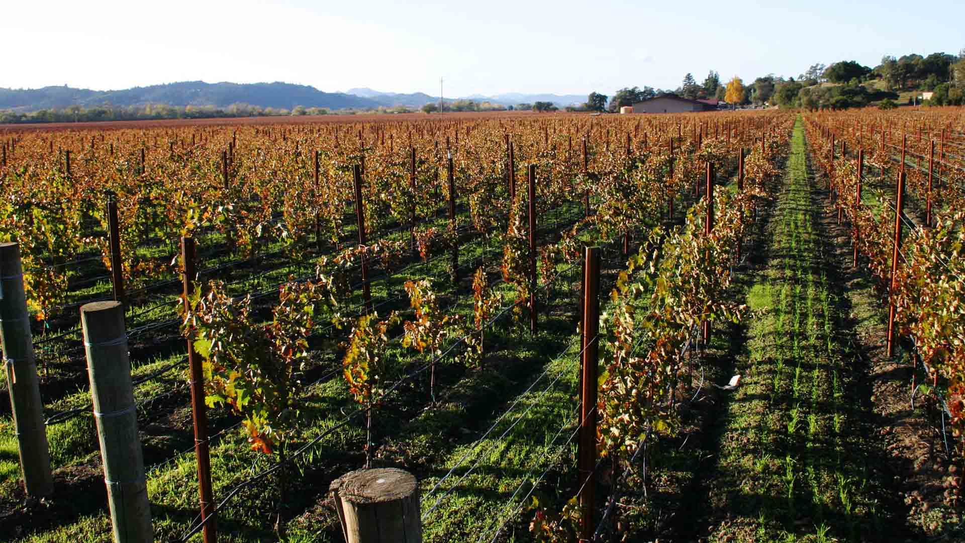 Domaine du Tremblay Image