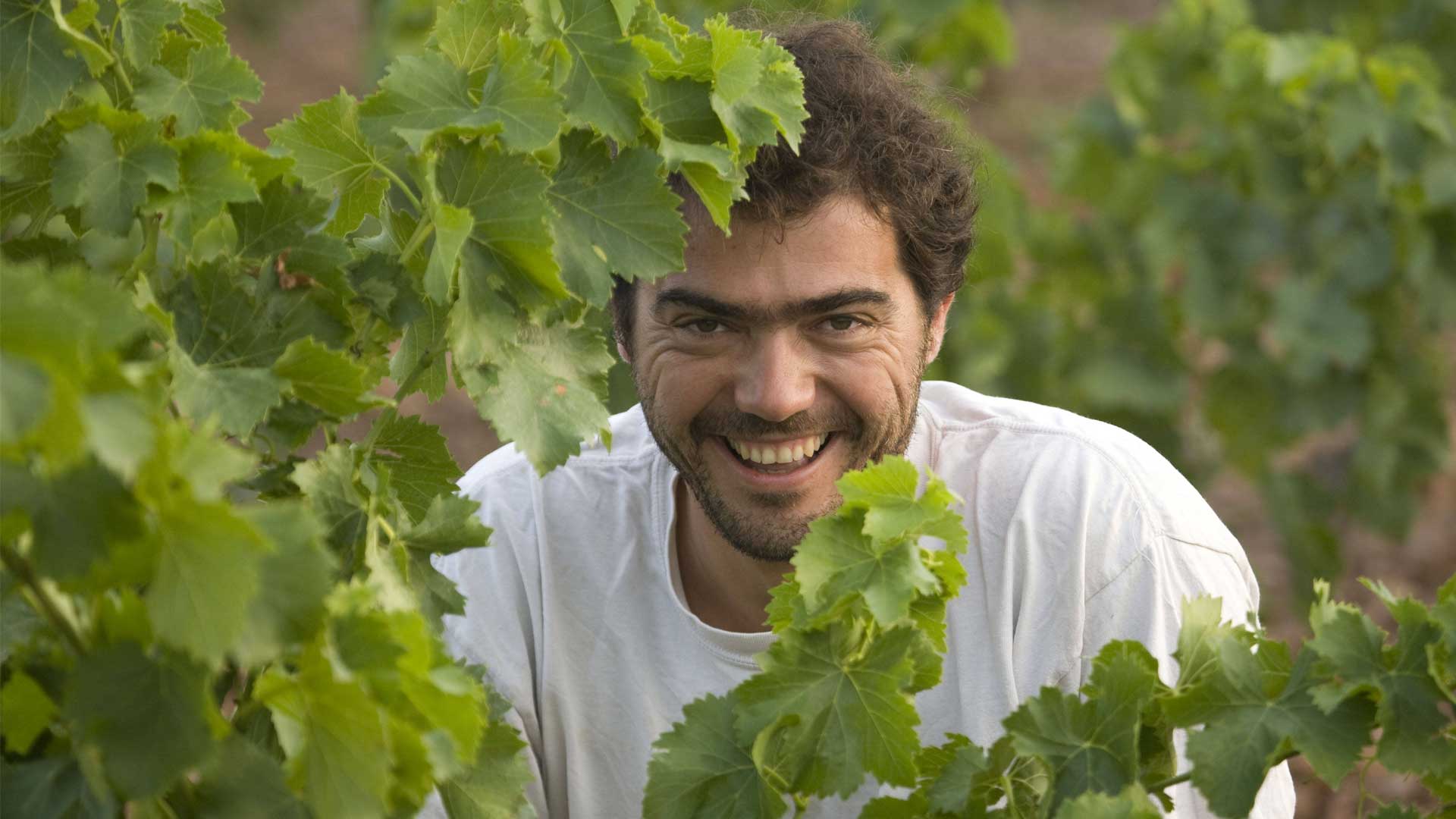 Olivier Pithon Image