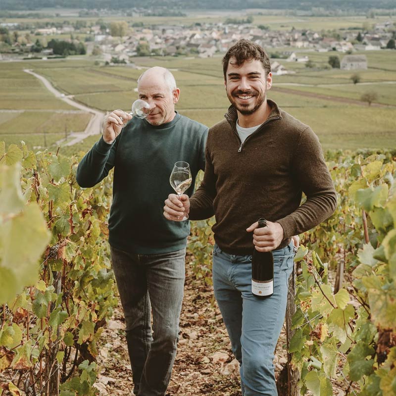Vins d'Alain Chavy Image