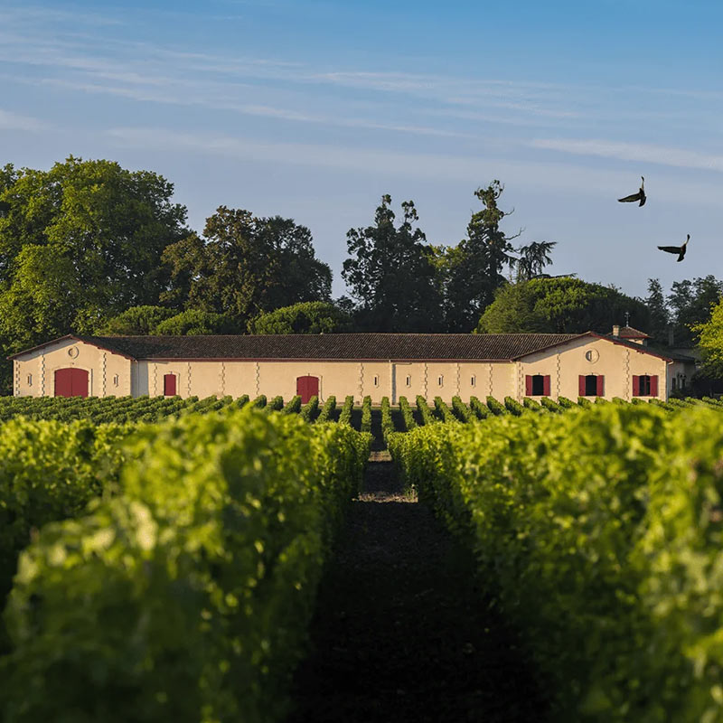 Vins du Château Brown Image