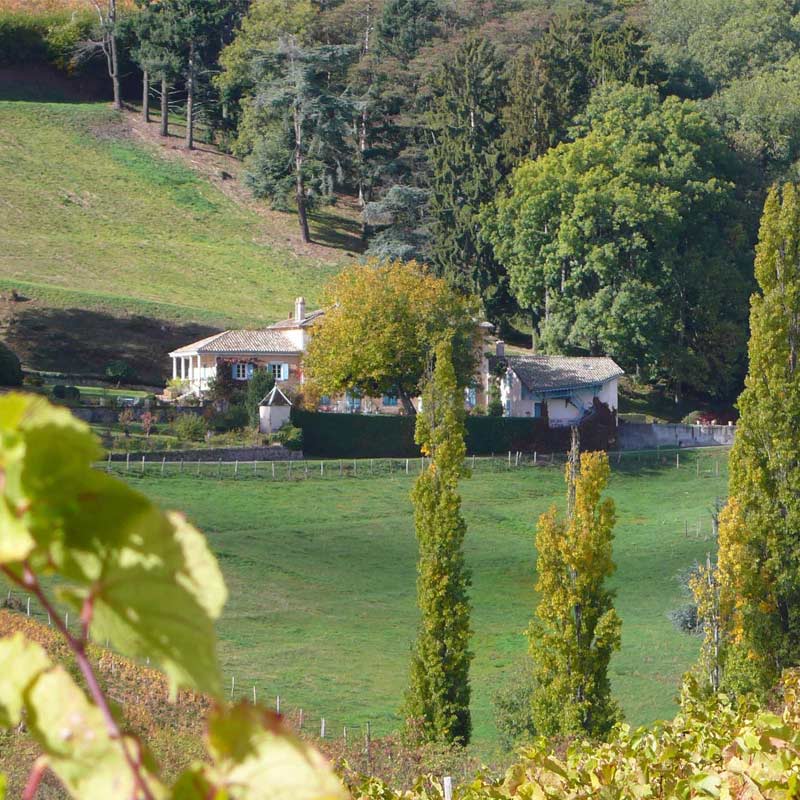 Vins du Château Javernand Image
