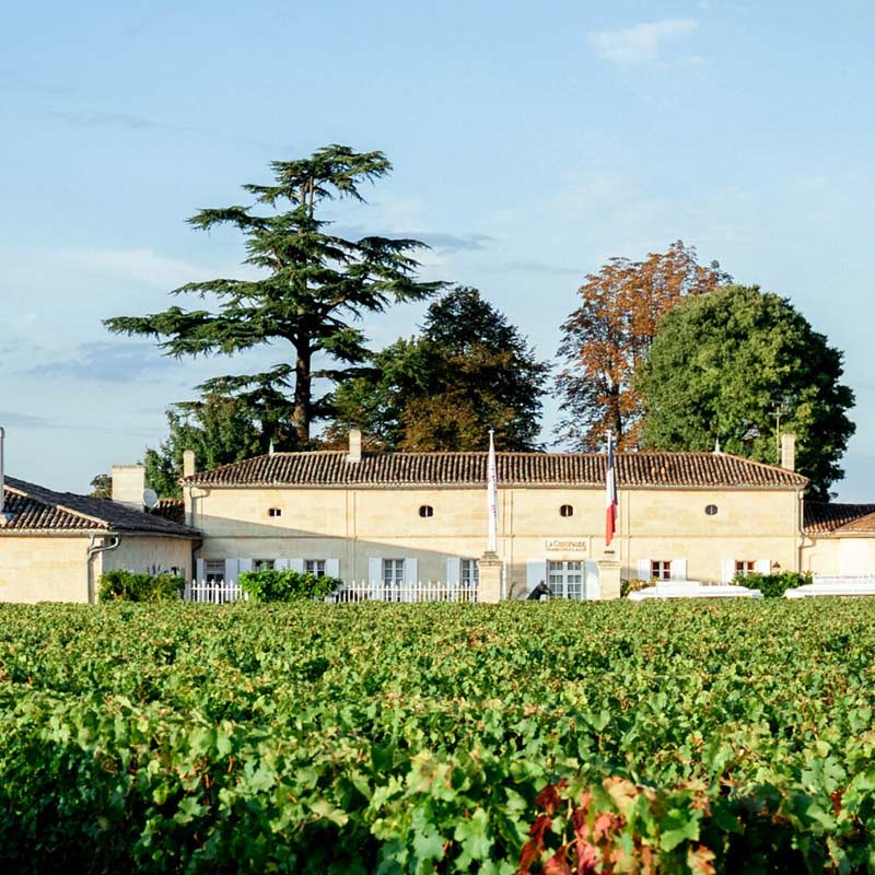 Vins du Château La Couspaude Image