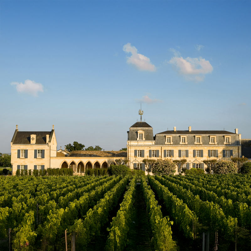 Vins du Château La Mission Haut-Brion Image