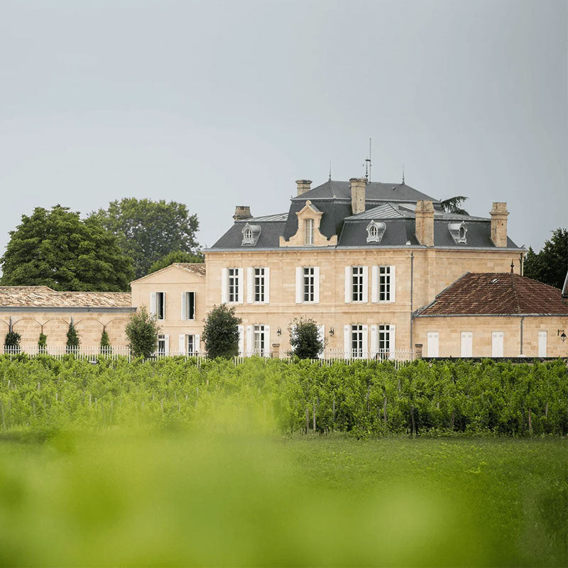 Vins du Château Nénin Image