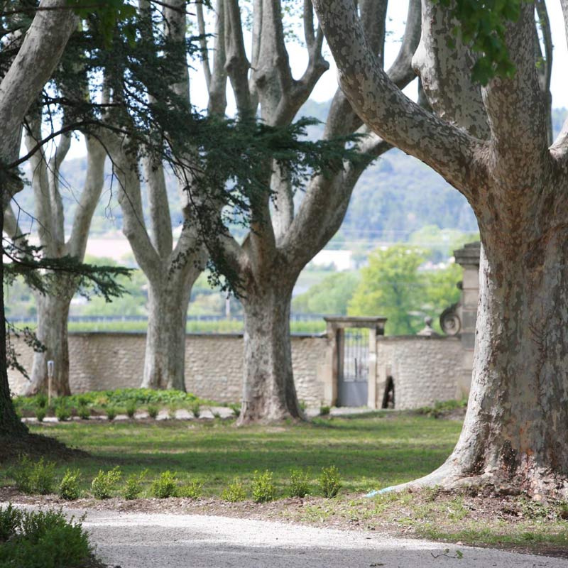 Vins du Château Saint-Jean Image