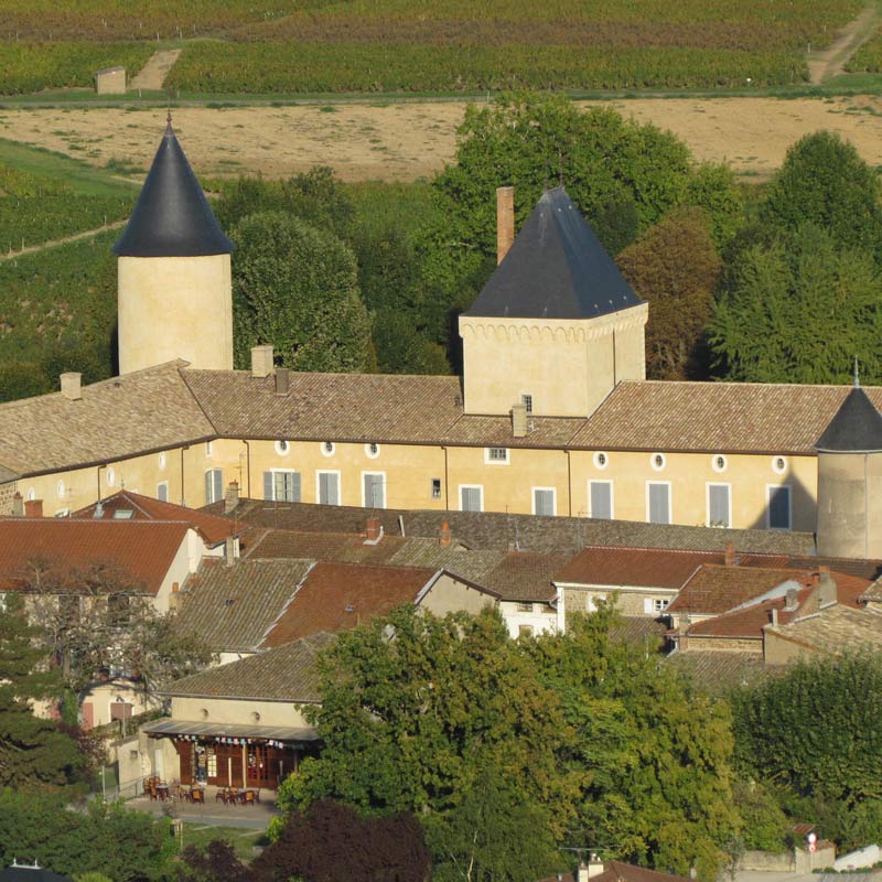 Vins du Château Saint Lager Image
