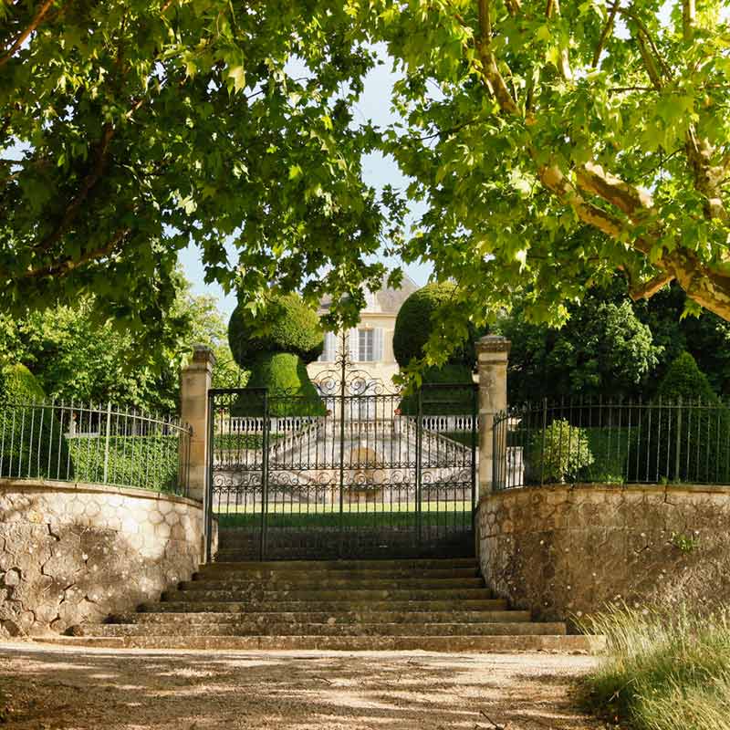 Vins du Château Simone Image