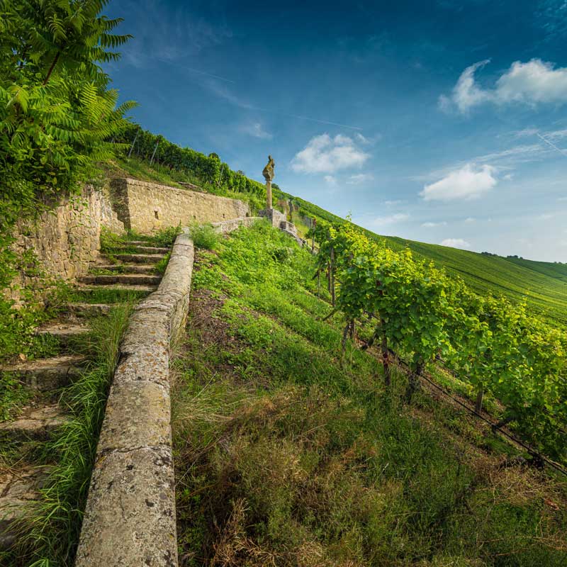 Vins du Château Soutard-Cadet Image