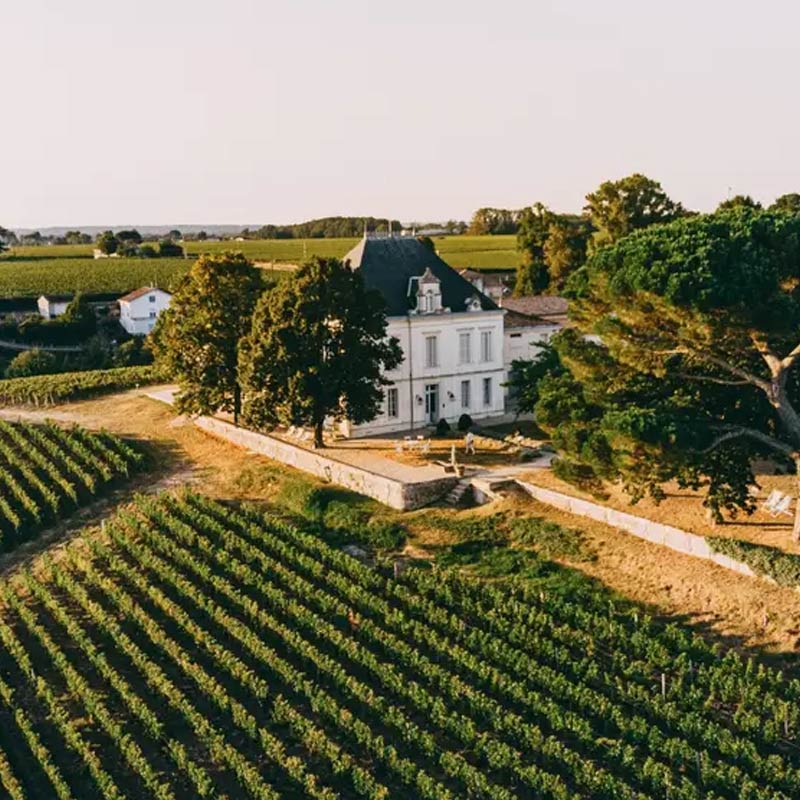 Vins du Château Tournefeuille Image