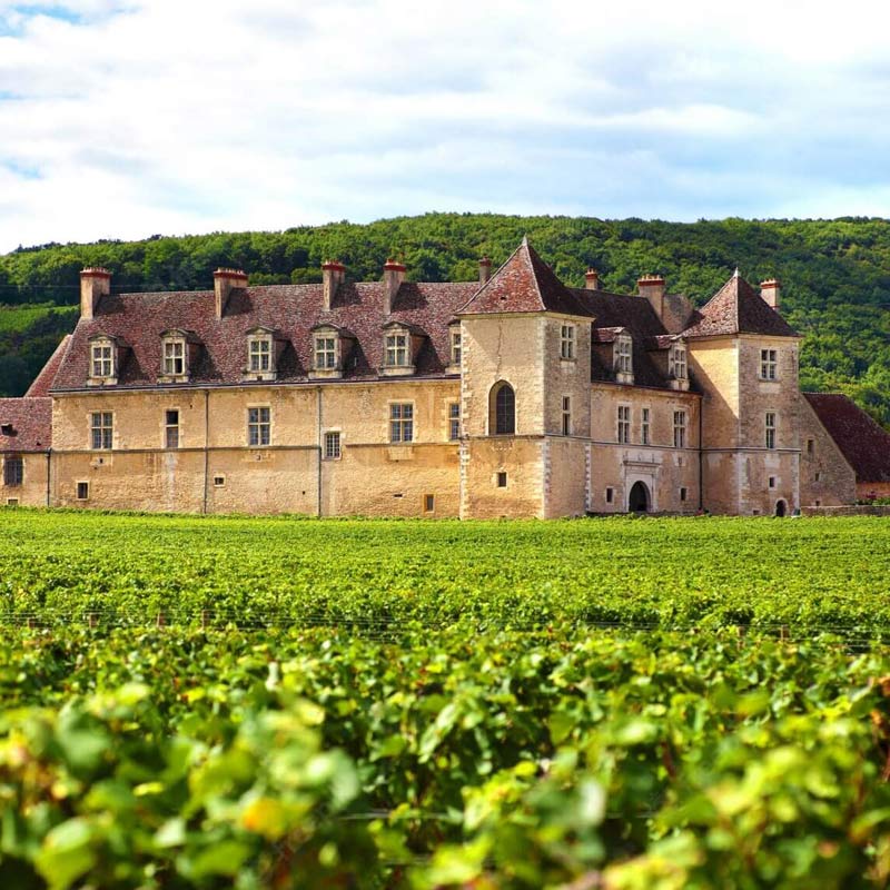 Vins du Château Moncets Image