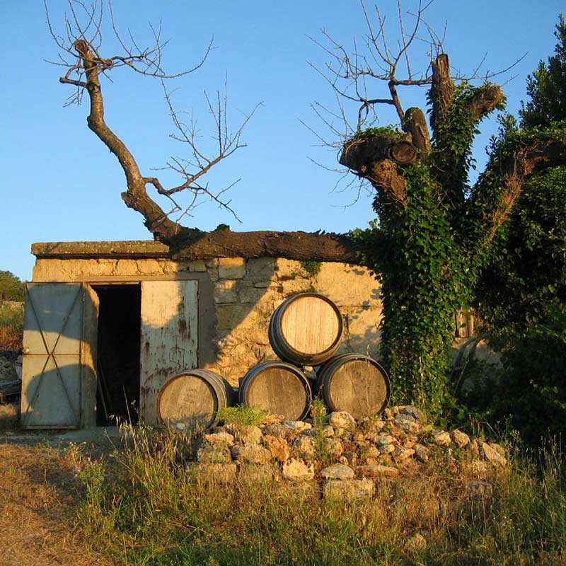 Vins du Clos des Nines Image