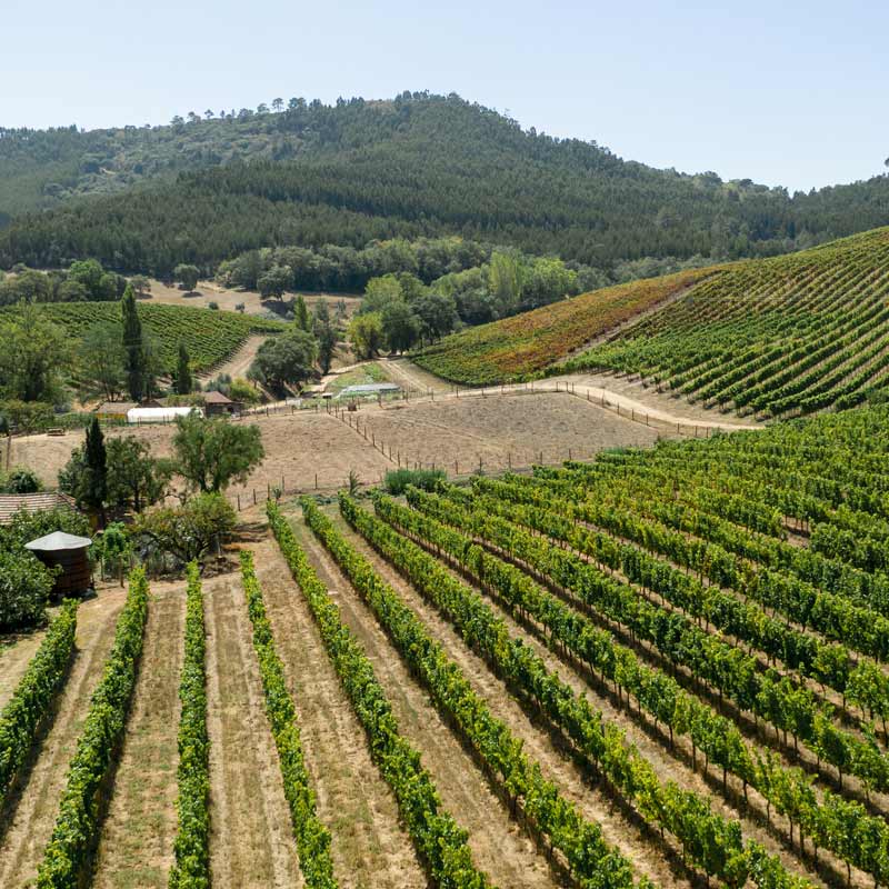 Vins du Clos la Roquète Image