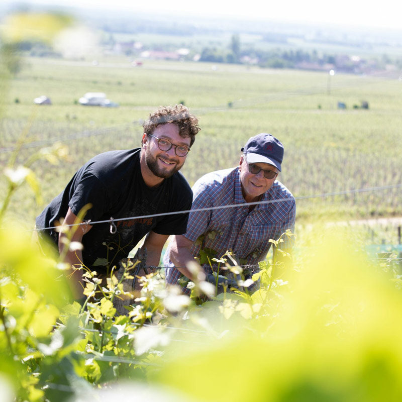 Vins du Domaine Amiot & Fils Image