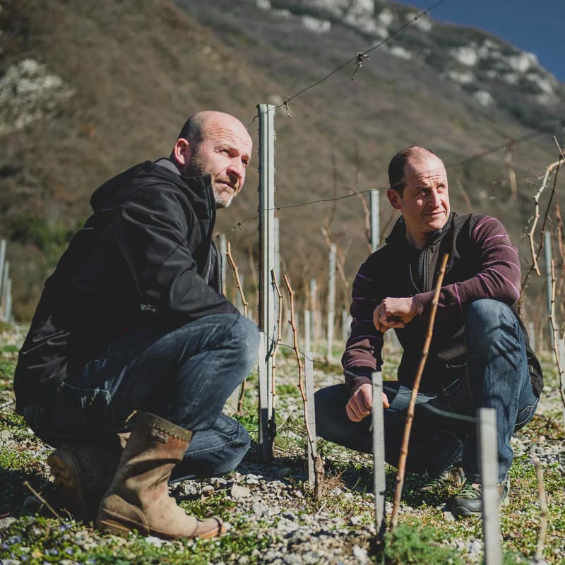 Vins du Domaine Berthollier Image