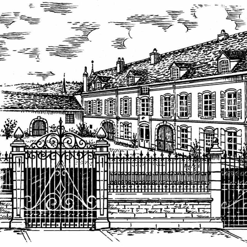 Vins du Domaine Capuano Ferreri Image