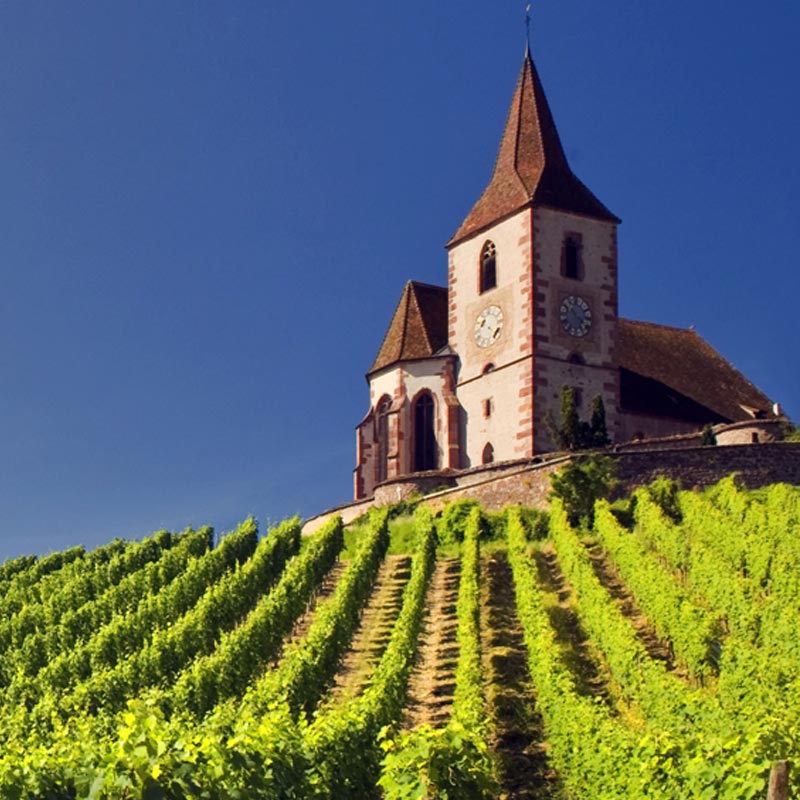 Vins du Domaine David Ermel Image