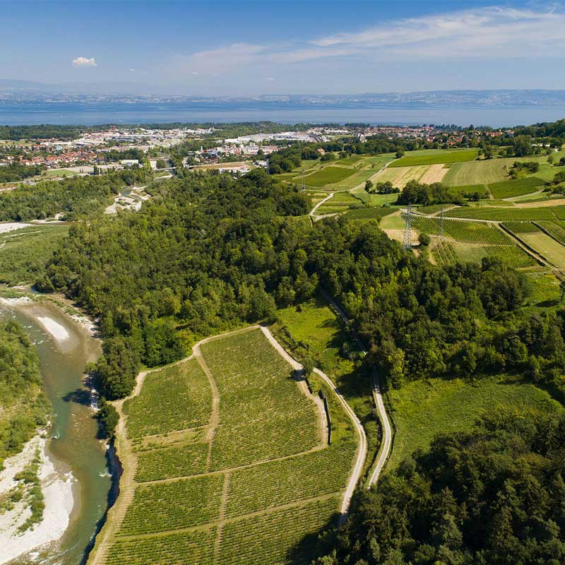 Vins du Domaine Delalex Image