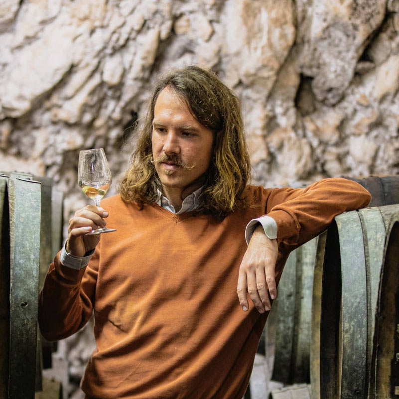 Vins du Domaine François & Julien Pinon Image