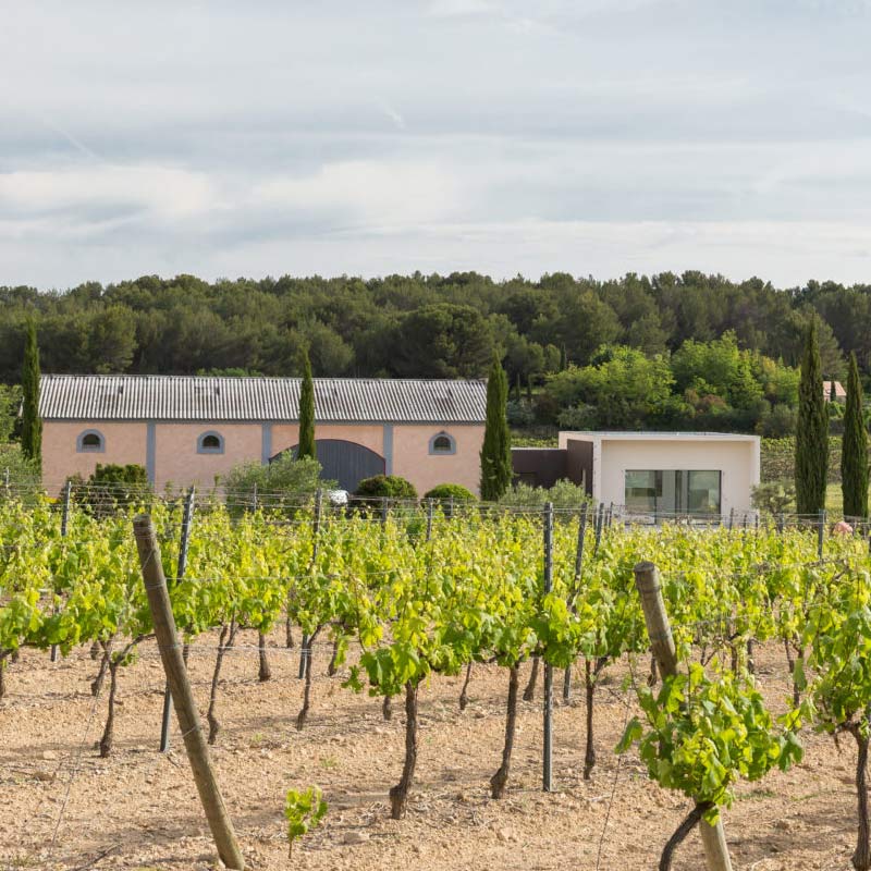 Vins du Domaine Fredavelle Image