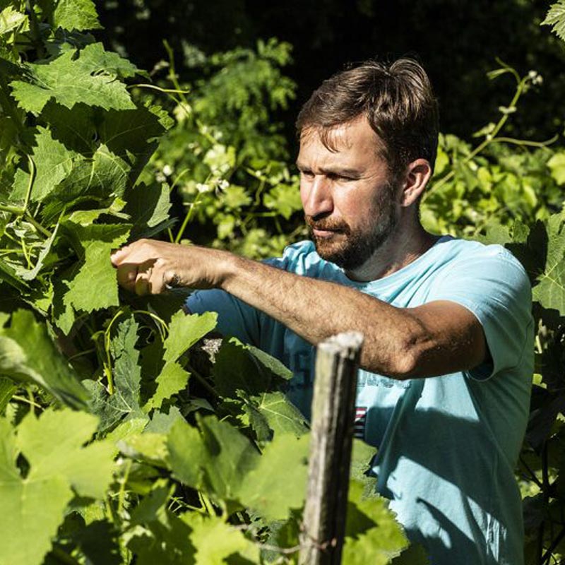 Vins du Domaine Garon Image