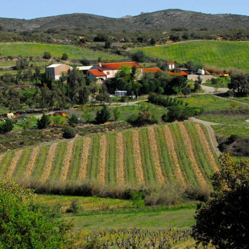 Vins du Domaine Gauby Image