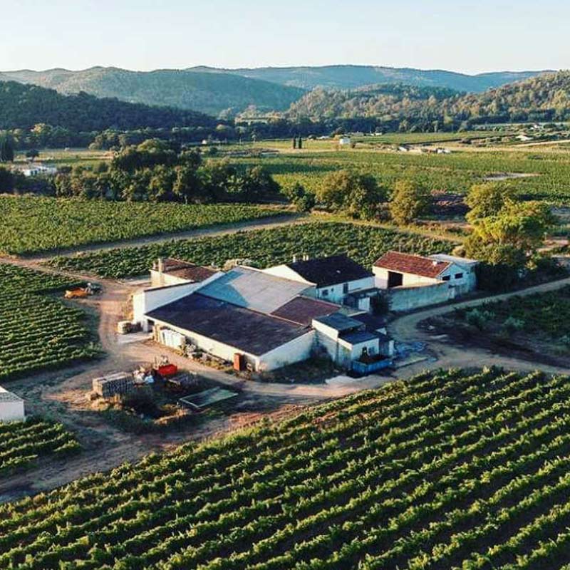 Vins du Domaine Kennel Image