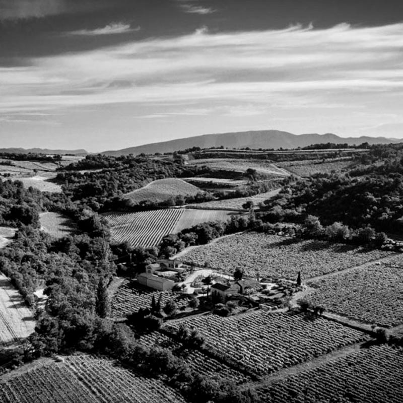 Vins du Domaine La Florane Image