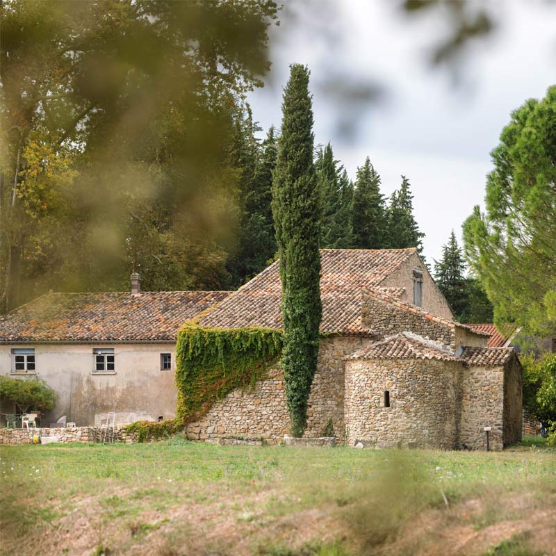 Vins du Domaine la Gayolle Image
