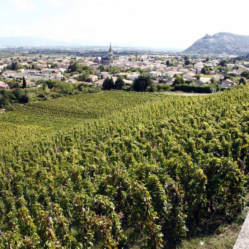 Vins du Domaine Lemenicier Image
