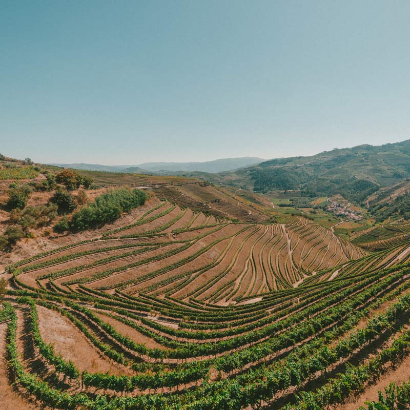 Vins du Domaine Lucien Aviet Image
