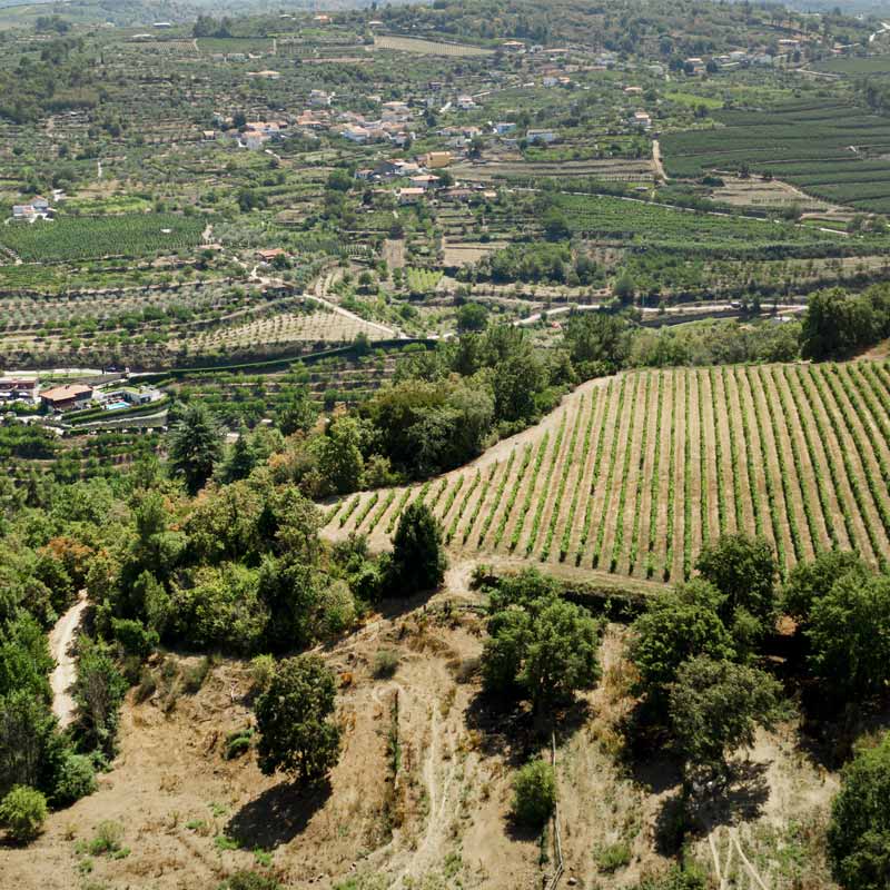 Vins du Domaine Macle Image