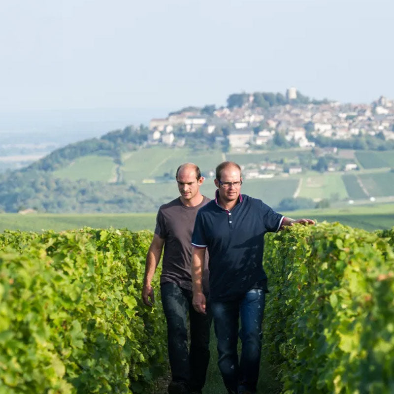 Vins du Domaine Matthias et Emile Roblin Image