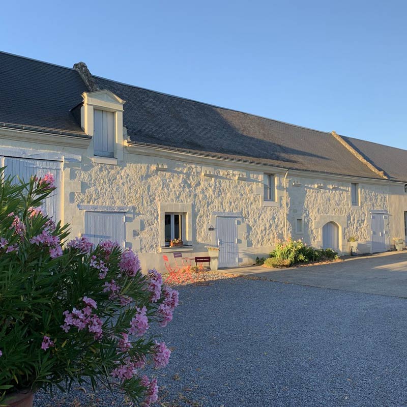 Vins du Domaine Olga Raffault Image