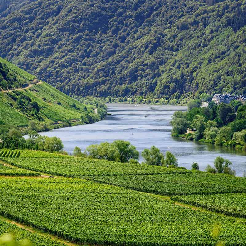 Vins du Domaine Patrick Baudouin Image