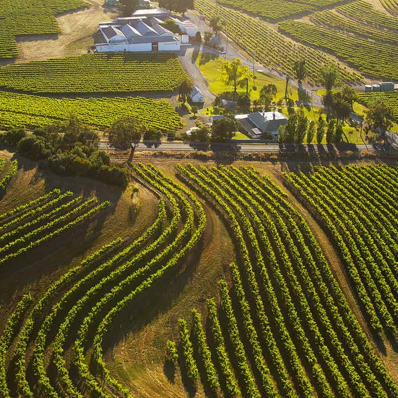 Vins du Domaine Penfolds Image