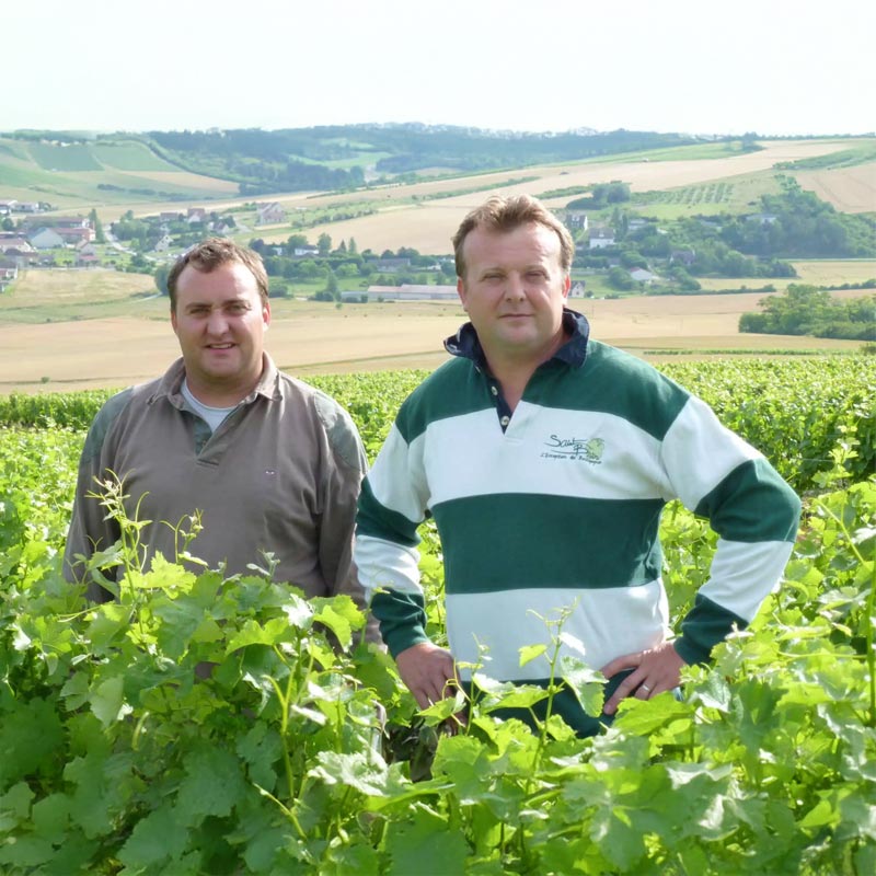 Vins du Domaine Petitjean Image