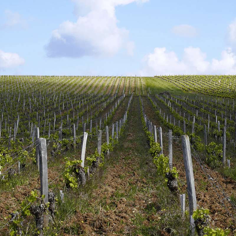 Vins du Domaine Philippe Gilbert Image