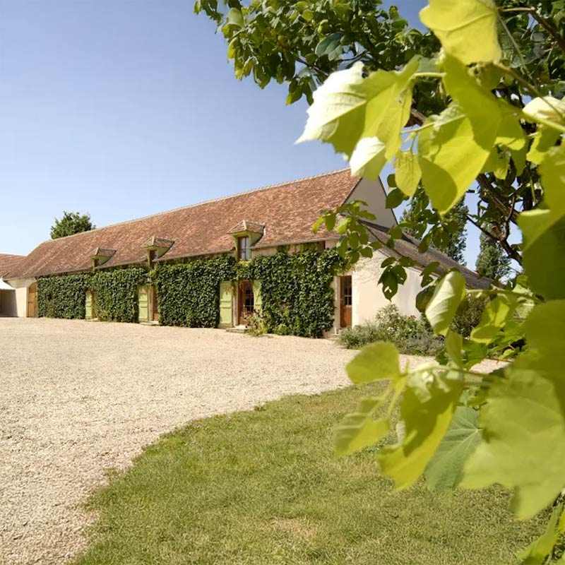 Vins du Domaine Tatin Image